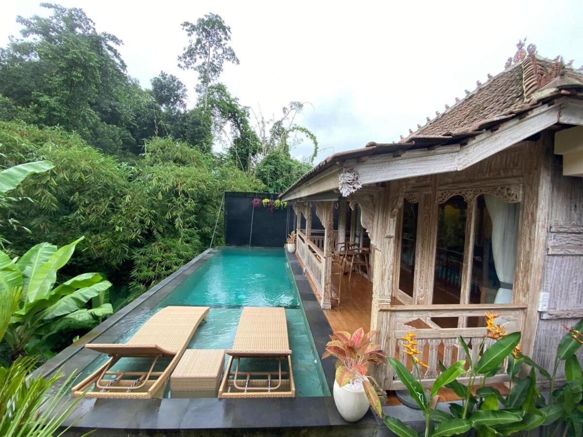 Abimartha Villa Ubud エクステリア 写真