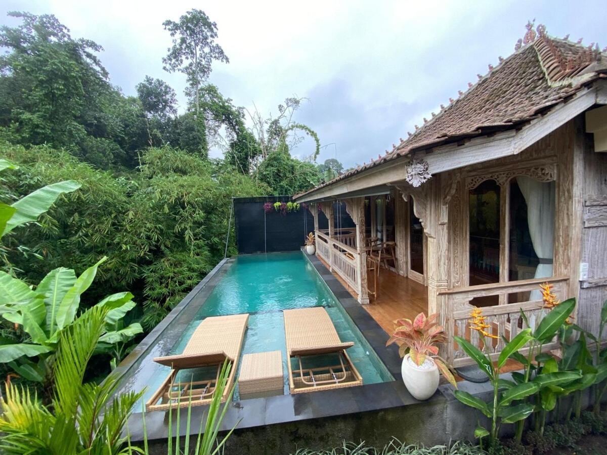 Abimartha Villa Ubud エクステリア 写真